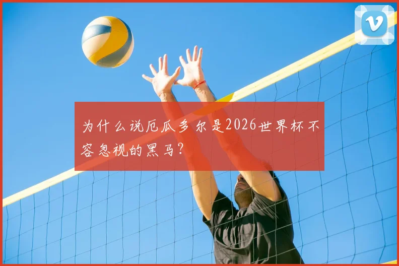 为什么说厄瓜多尔是2026世界杯不容忽视的黑马？